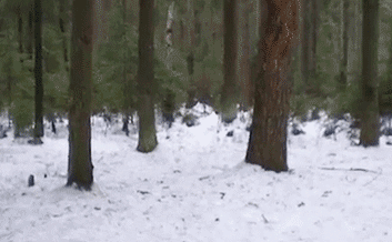 Front-Flip-in-the-Snow-Win.gif